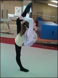 Comment s'appelle cette figure ?