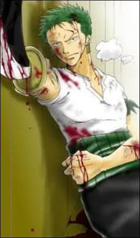 Bien que Zoro fut blessé par Baggy, il eut encore un peu de force pour porter la cage où était enfermé Luffy :