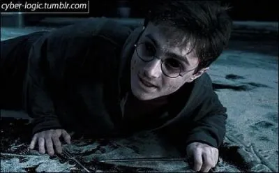 Tome 5 : Quand Voldemort a-t-il compris qu'il était peut-être en mesure de posséder Harry ?