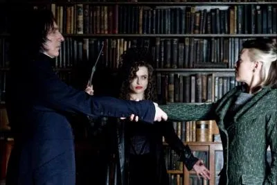 Tome 6 : Pourquoi Rogue accepte-t-il d'effectuer le serment inviolable avec Narcissa Malefoy ?