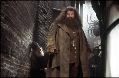 Tome 1 : Quand Harry voyage-t-il avec Hagrid pour la première fois ?