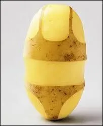 Complétez cette chanson de Lionel Daunais : " Les patates seront ... " !