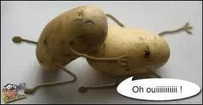 A quel plat peut vous faire penser cette image ?