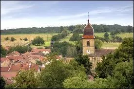 Lequel de ces surnoms appartient à la Haute-Saône ?