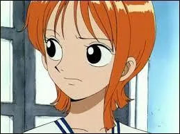 Pendant ce temps là, qu'a fait Nami ?