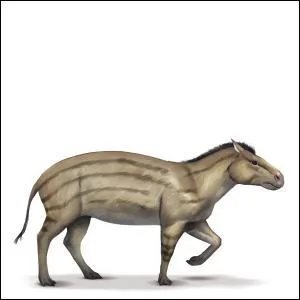 Quel cheval divin préhistorique n'existe pas ?
