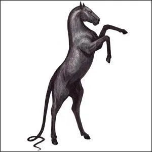 Quel cheval divin est unique sur chaque monde ?