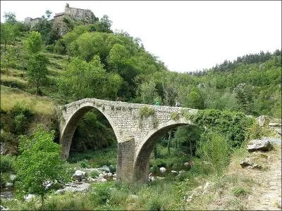 Le Pont du Diable d'une longueur de 50 m sur l'Ance, date du XIe siècle. Dans quelle ville de Haute-Loire se situe-t-il ?