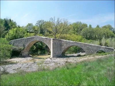 Ce pont de 40 m piétonnier date du XIIe siècle, il traverse la Laye à Mane dans les Alpes-de-Haute-Provence, il se nomme le pont :