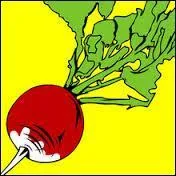 En euros, combien coûte un radiz ?