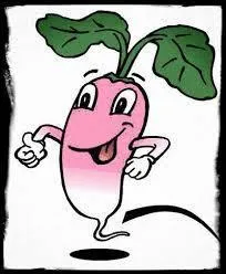 Combien de radiz obtient-on lors de l'inscription ?