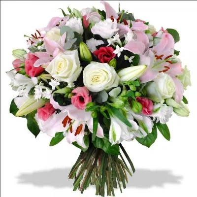 Qui devient à un moment donné plutôt féminin ?