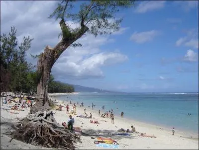 Quelle plage est protégée d'une barrière de corail pour que nous puissions nous baigner sans requin ?