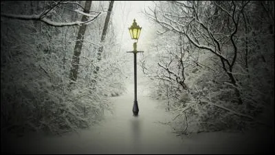 Qui est le réalisateur du "Monde de Narnia : le Lion, la Sorcière blanche et l'Armoire magique", "Le Monde de Narnia : le Prince Caspian" et "Le Monde de Narnia : l'Odyssée du Passeur d'Aurore" ?