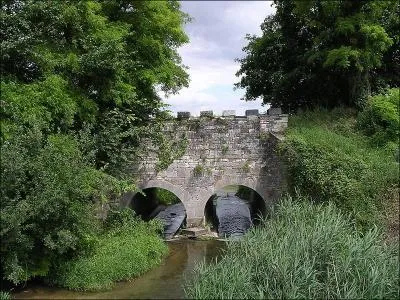 Pont-canal construit en 1221 sur la Varaude &agrave; Noiron-sous-Gevrey en C&ocirc;te-d'Or. Comment s'appelle-t-il ?