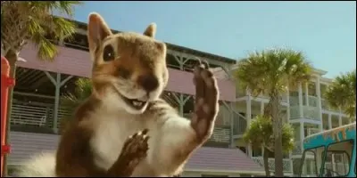 Comment se nomme cet écureuil que l'on connait habituellement sous le nom de Sandy ?