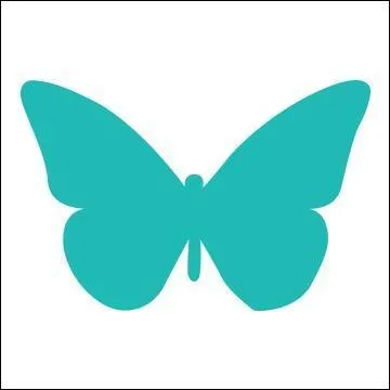 Comment s'appelle son deuxième album ?