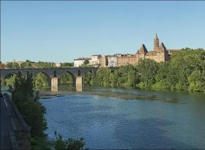 Le pont Vieux, de 205 mètres, sur 7 arches, a été construit en 1335 sur le Tarn dans le département du Tarn-et-Garonne, dans la ville de :