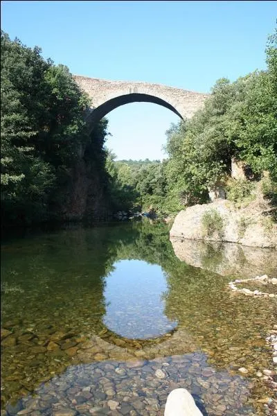 Ce pont de 45 m de long, construit au XIIe siècle sur la Mare à Villemagne-l'Argentière dans l'Hérault, s'appelle :