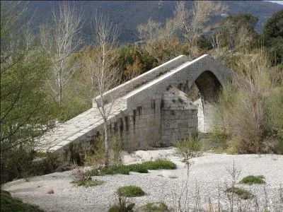 Pont piétonnier du XIIIe siècle, sur le Rizzanese à Sartène, en Corse-du-Sud. 
Son nom signifie en corse ''dos de cheval'' :