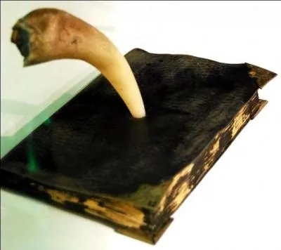 Quel est l'horcruxe ?