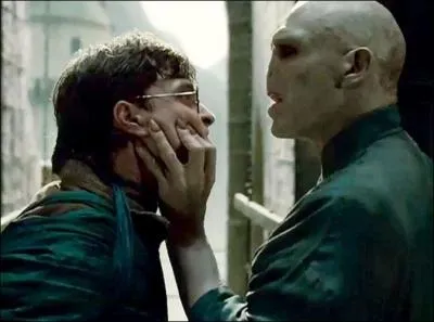 Comment Harry tue-t-il Voldemort  ?