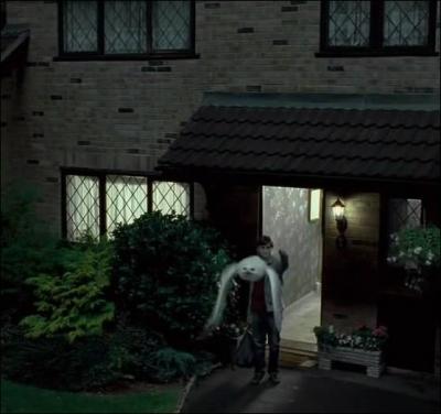 Pourquoi Harry doit-il quitter la maison de sa tante et de son oncle  ?