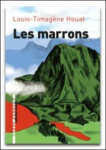 Quand le roman "Les marrons" est-il sorti ?