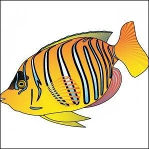 Mon premier est égal à mon tout, et si vous voulez gagner ce quiz, il faut le mettre !