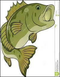 Mon premier est animal, mon second est à moitié gâteux ;