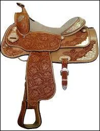 Comment se nomme cette selle ?