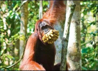 Prouvez que vous ne craignez pas ce quiz, montrez que vous avez ...