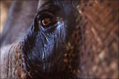 N'oubliez pas la réponse !