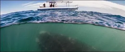 Trouvez l'expression adaptée !