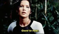 Comment s'appellent les personnes qui vont jouer au Hunger Games ?