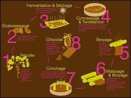 Quel est le plus grand pays producteur de chocolat au monde ?