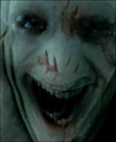 TOP 2 : L'affrontement final Harry/Voldemort (HP 7.2)
À quel moment Harry sort-il de sous sa cape et montre à toute la communauté magique qu'il lui faut plus qu'un Avada Kedavra pour le stopper ?