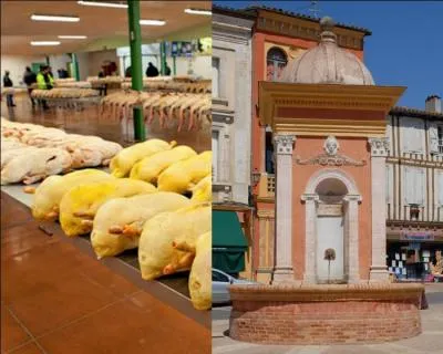 Au coeur du département, cette petite cité gersoise est surnommée la "Mecque du Foie gras", en raison de son important marché au gras...