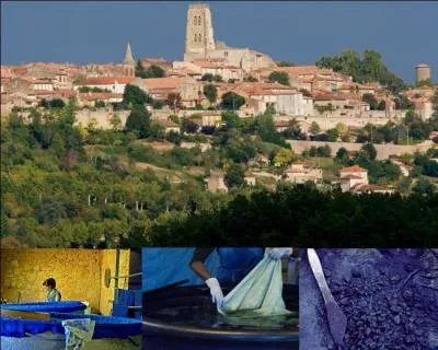 Considéré comme le meilleur d'Europe, le célèbre bleu de Lectoure est une teinture élaborée à base de...