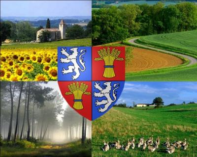 Ancienne province française, la Gascogne, aujourd'hui identité culturelle, était constituée principalement par trois départements actuels. Lesquels ?
