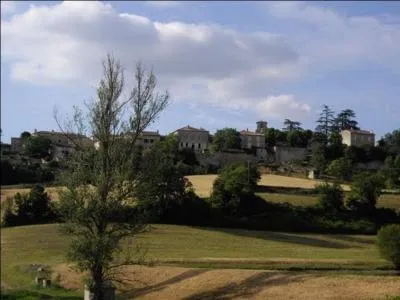 Quel évènement se déroule chaque année en août, dans le petit hameau de Lialores à Condom dans le Gers ?