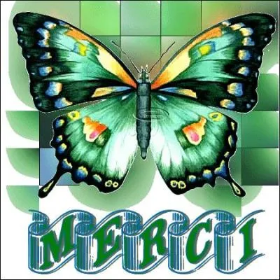 "Bacula". En équitation, partie du harnais passant sur la croupe et sous la queue du cheval (croupière).