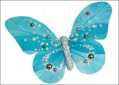 "Dune". Le pluriel du nouveau mot est "des".