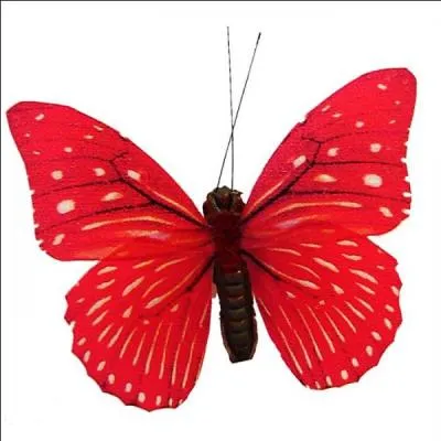 Si cette lettre s'envole, un "ara" se transforme en coulée de lave.