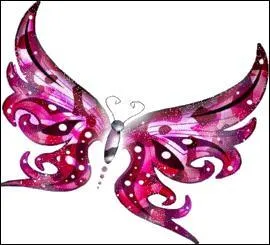 Le "koala" disparaît pour laisser place à un fruit aux propriétés stimulantes.