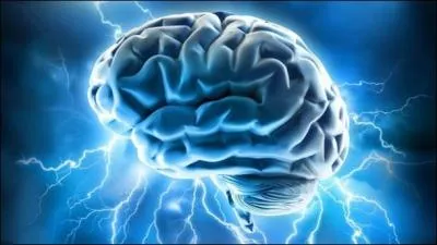 Lelouch retrouve la mémoire dans quels lieux ?