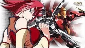 Comment Kallen est-elle surnommée par Zéro dans "L'ordre des Chevalier Noirs" ?