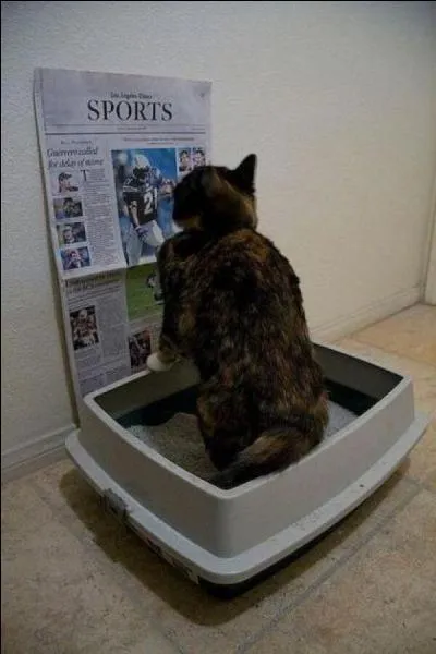 Allez ça 'presse'. Quel est le bon mot ?