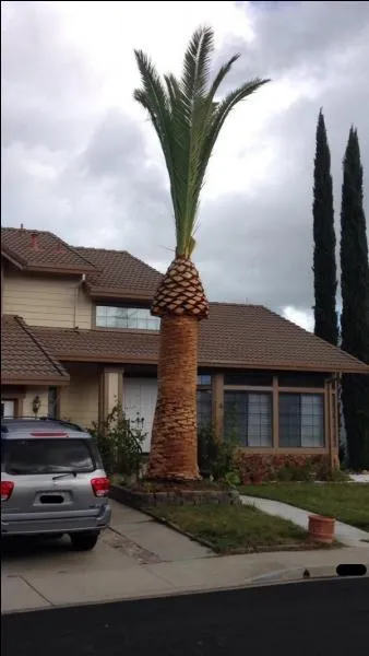 Quand la nature fait des siennes, le mot est facile à trouver, l'avez-vous ?