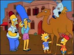 Homer eut une petite envie de visiter l'Afrique. Il prit un billet d'avion et s'envola pour le continent. La photo a été prise au :